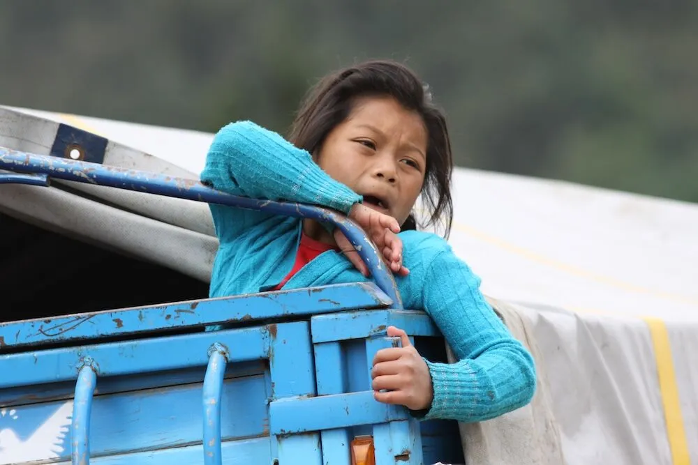 A child in a blue sweater peers from the back of a blue truck with a white canopy, as if illustrating a scene from the definitive guide on childhood adventures. The child seems to be yawning or covering their mouth amid the blurred greenery backdrop.