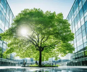 U4L Ltd | B CORP | PPN 006