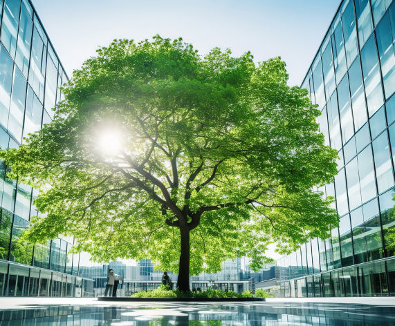 ESGPRO Case Study B Corp Certification
